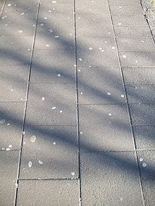 Lottery Data From Different Angles